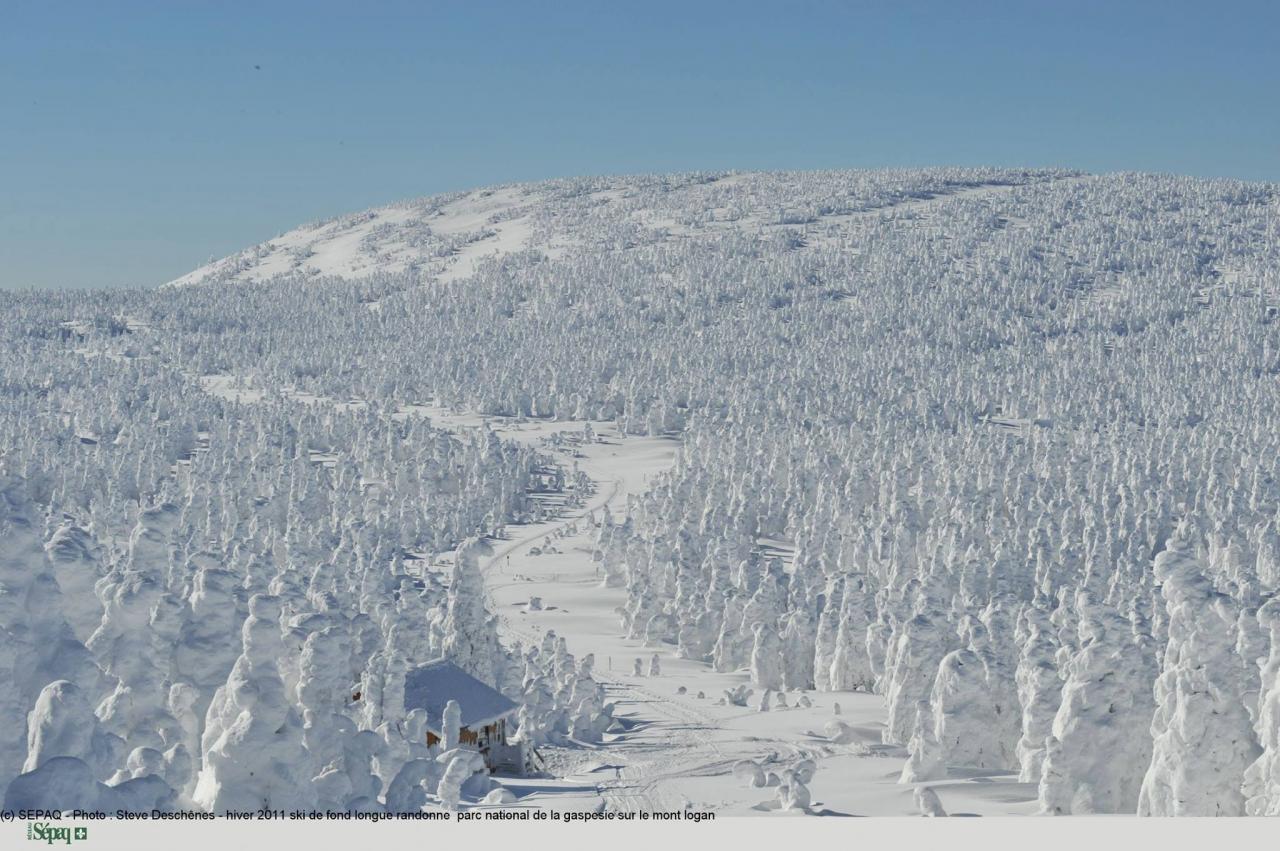 Paysage blanc la Gaspèsie