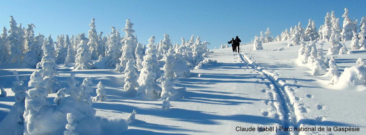 Paysage blanc la Gaspèsie